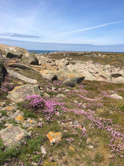 Belle Vue Sur Mer Saint-Michel-en-Grève 外观 照片